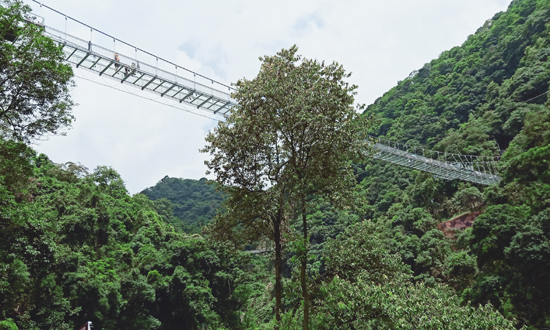 圣元電器挑戰(zhàn)高空吊橋